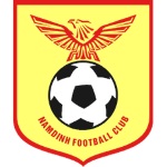 Nam Định logo