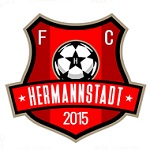 FC Hermannstadt logo