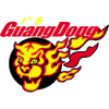 Guangdong Southern Tigers logo