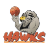 Bay Hawks logo