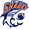 Shanghai logo
